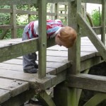Luther-Pooh-sticks